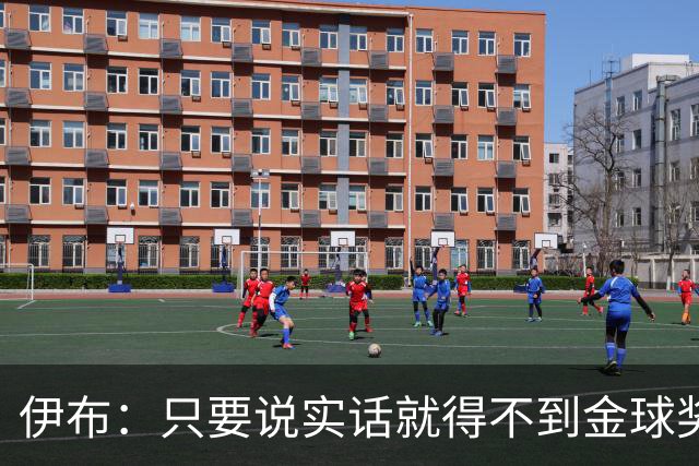 伊布：只要说实话就得不到金球奖 它只给好好先生