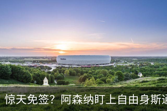 惊天免签？阿森纳盯上自由身斯通斯，萨利巴重伤逼出神操作