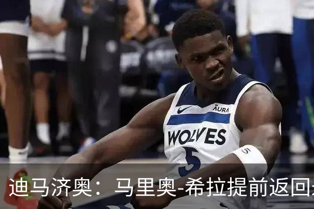 迪马济奥：马里奥-希拉提前返回米兰，对阵曼联有望回归